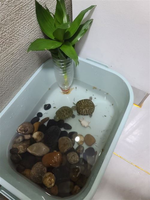 个人求职